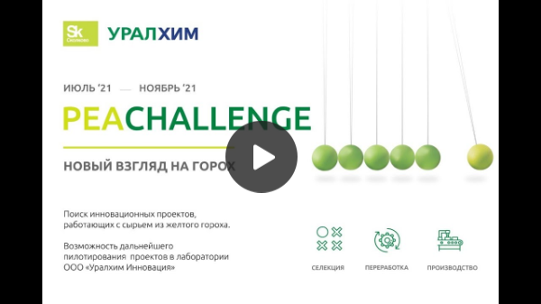 Pea Challenge| Встреча команды Уралхима с потенциальными заявителями по конкурсу